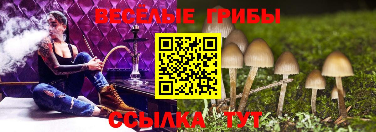 Галлюциногенные грибы GOLDEN TEACHER  Вход с VPN  Нефтекамск 